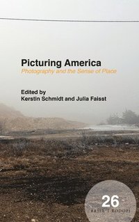 bokomslag Picturing America