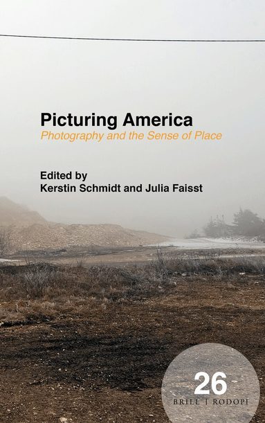 Kerstin Schmidt - Picturing America, Inbunden