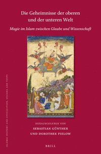bokomslag Die Geheimnisse der oberen und der unteren Welt: Magie im Islam zwischen Glaube und Wissenschaft