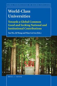 bokomslag World-Class Universities