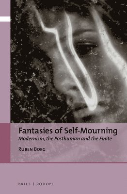 bokomslag Fantasies of Self-Mourning