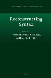 bokomslag Reconstructing Syntax