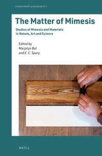 bokomslag Matter of Mimesis