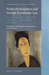 bokomslag Public Participation and Foreign Investment Law: From the Creation of Rights and Obligations to the Settlement of Disputes