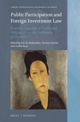 bokomslag Public Participation and Foreign Investment Law: From the Creation of Rights and Obligations to the Settlement of Disputes