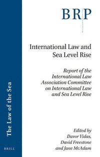 bokomslag International Law and Sea Level Rise