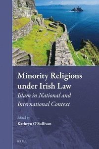 bokomslag Minority Religions Under Irish Law: Islam in National and International Context