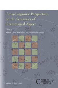 bokomslag Cross-Linguistic Perspectives on the Semantics of Grammatical Aspect
