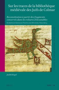 bokomslag Sur les traces de la bibliothèque médiévale des Juifs de Colmar