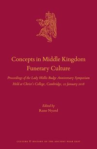 bokomslag Concepts in Middle Kingdom Funerary Culture