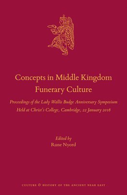 bokomslag Concepts in Middle Kingdom Funerary Culture