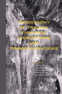 bokomslag Topography of Trauma: Fissures, Disruptions and Transfigurations