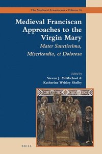 bokomslag Medieval Franciscan Approaches to the Virgin Mary