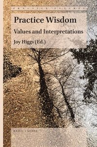 bokomslag Practice Wisdom: Values and Interpretations