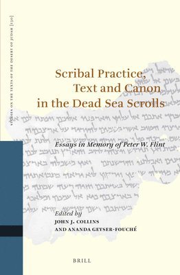 bokomslag Scribal Practice, Text and Canon in the Dead Sea Scrolls