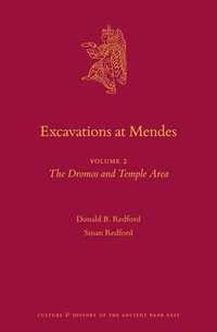 bokomslag Excavations at Mendes: Volume 2 the Dromos and Temple Area