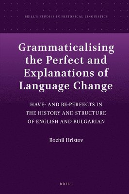 bokomslag Grammaticalising the Perfect and Explanations of Language Change