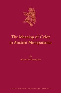 bokomslag The Meaning of Color in Ancient Mesopotamia