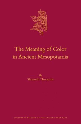 bokomslag The Meaning of Color in Ancient Mesopotamia