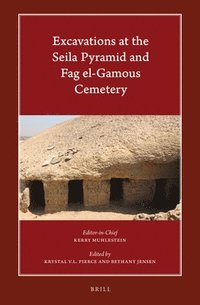 bokomslag Excavations at the Seila Pyramid and Fag el-Gamous Cemetery