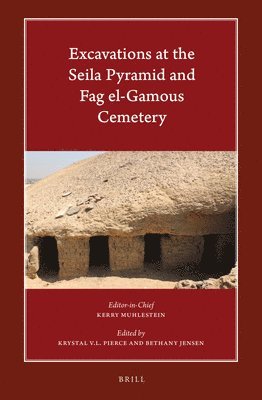 bokomslag Excavations at the Seila Pyramid and Fag el-Gamous Cemetery