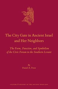 bokomslag City Gate in Ancient Israel and Her Neighbors