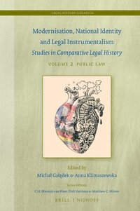 bokomslag Modernisation, National Identity and Legal Instrumentalism (Vol. II: Public Law)