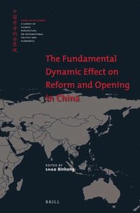 bokomslag Fundamental Dynamic Effect on Reform and Opening in China
