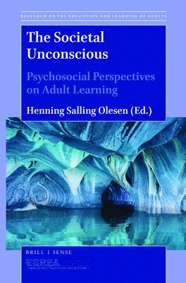 bokomslag Societal Unconscious
