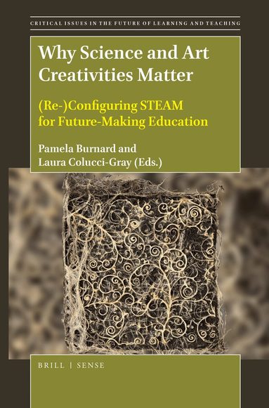 Pamela Burnard - Why Science and Art Creativities Matter, Häftad