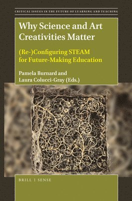 bokomslag Why Science and Art Creativities Matter
