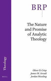bokomslag The Nature and Promise of Analytic Theology