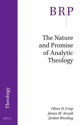 bokomslag The Nature and Promise of Analytic Theology