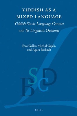 bokomslag Yiddish as a Mixed Language