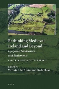 bokomslag Rethinking Medieval Ireland and Beyond