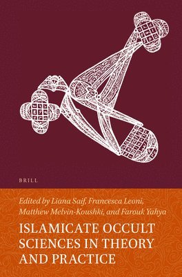 bokomslag Islamicate Occult Sciences in Theory and Practice