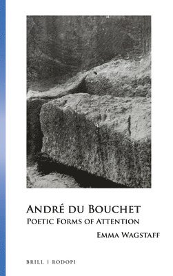 bokomslag André Du Bouchet