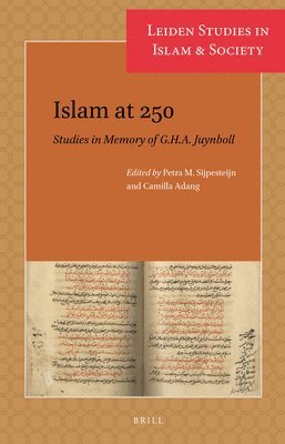 bokomslag Islam at 250