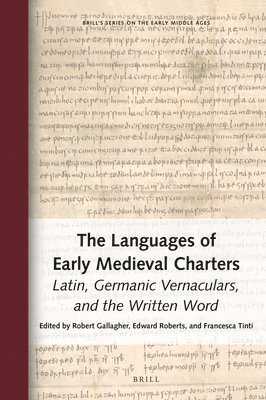 bokomslag Languages of Early Medieval Charters