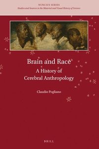 bokomslag Brain and Race