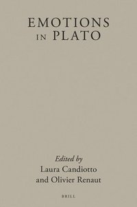 bokomslag Emotions in Plato