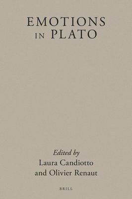 bokomslag Emotions in Plato
