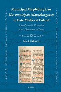 bokomslag Municipal Magdeburg Law (Ius municipale Magdeburgense) in Late Medieval Poland