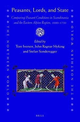 bokomslag Peasants, Lords, and State: Comparing Peasant Conditions in Scandinavia and the Eastern Alpine Region, 1000-1750