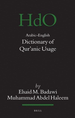 Arabic-English Dictionary of Qur?anic Usage 1