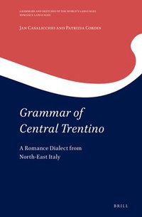 bokomslag Grammar of Central Trentino