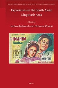 bokomslag Expressives in the South Asian Linguistic Area