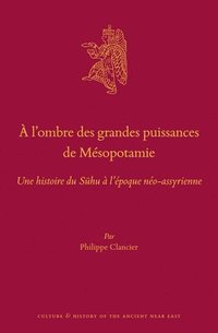 bokomslag À l'Ombre Des Grandes Puissances de Mésopotamie: Une Histoire Du S&#363;hu À l'Époque Néo-Assyrienne