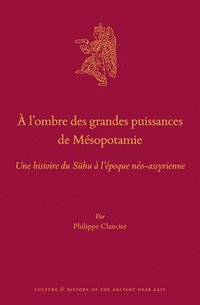 bokomslag À l'Ombre Des Grandes Puissances de Mésopotamie: Une Histoire Du S?hu À l'Époque Néo-Assyrienne