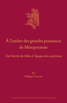 bokomslag À l'Ombre Des Grandes Puissances de Mésopotamie: Une Histoire Du S?hu À l'Époque Néo-Assyrienne